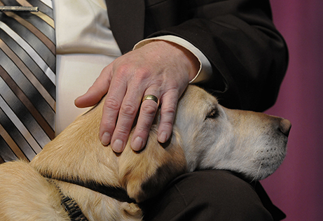 Then Incredible Power of the Human-Animal Bond